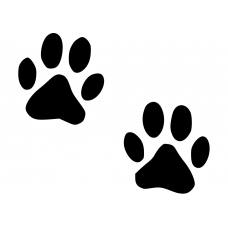 Honden muursticker: 10032 - Kattenpoot of hondenpoot