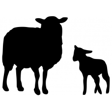 Boerderijdieren muursticker: 10048 - Schaap met lammetje