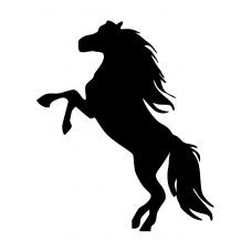 Paarden muursticker: 10081 - Steigerend paard