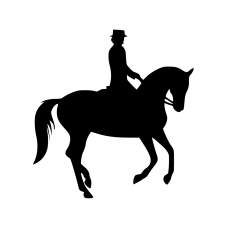 Paarden muursticker: 10083 - Dressuurpaard galop