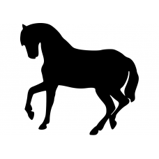 Paarden muursticker: 10091 - Paard