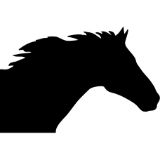 Paarden muursticker: 10092 - Paardenhoofd