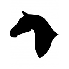 Paarden muursticker: 10097 - Paardenhoofd fier