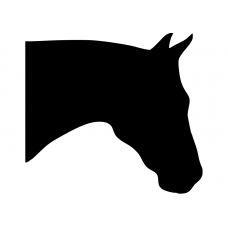 Paarden muursticker: 10102 - Paardenhoofd rechts