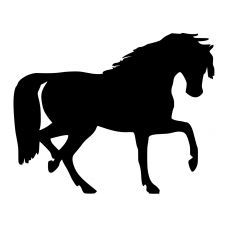 Paarden muursticker: 10105 - Paard passage