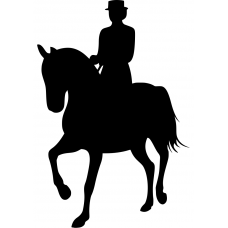 Paarden muursticker: 10165 - Dressuurpaard schuin voren