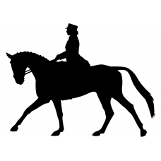 Paardrijden muursticker: 10166 - Dressuurpaard galop links