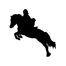 Paardrijden muursticker: 10170 - Springpony links