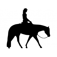 Paarden muursticker: 10176 - Cowgirl te paard stap