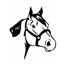 Paarden muursticker: 10263 - Paardenhoofd met halster